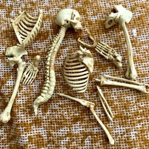 Bag of bones mini skeleton for Halloween or arts and crafts